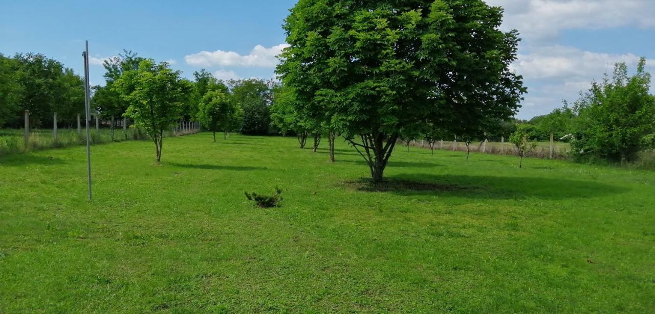 Gesztenye Vendégház Ságvár Extérieur photo